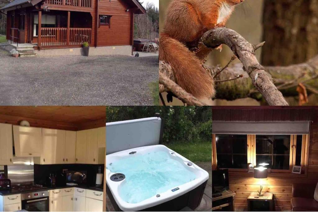 Red Squirrel Log Cabin With Hot Tub Keith Exterior foto